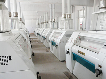 wine plant  raw cereal processing line