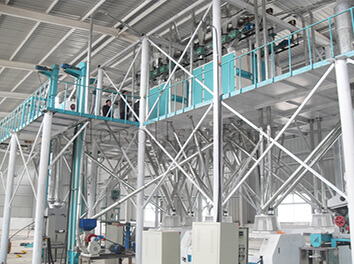 steel structure corn processing line