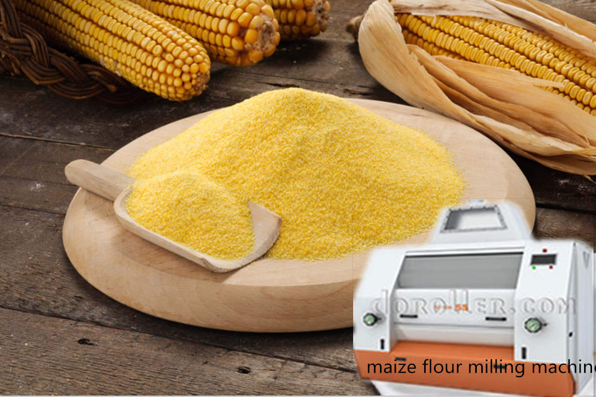 maize flour mill plant