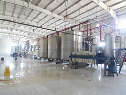 maltose syrup processing plant