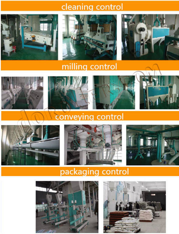 grain flour plant
