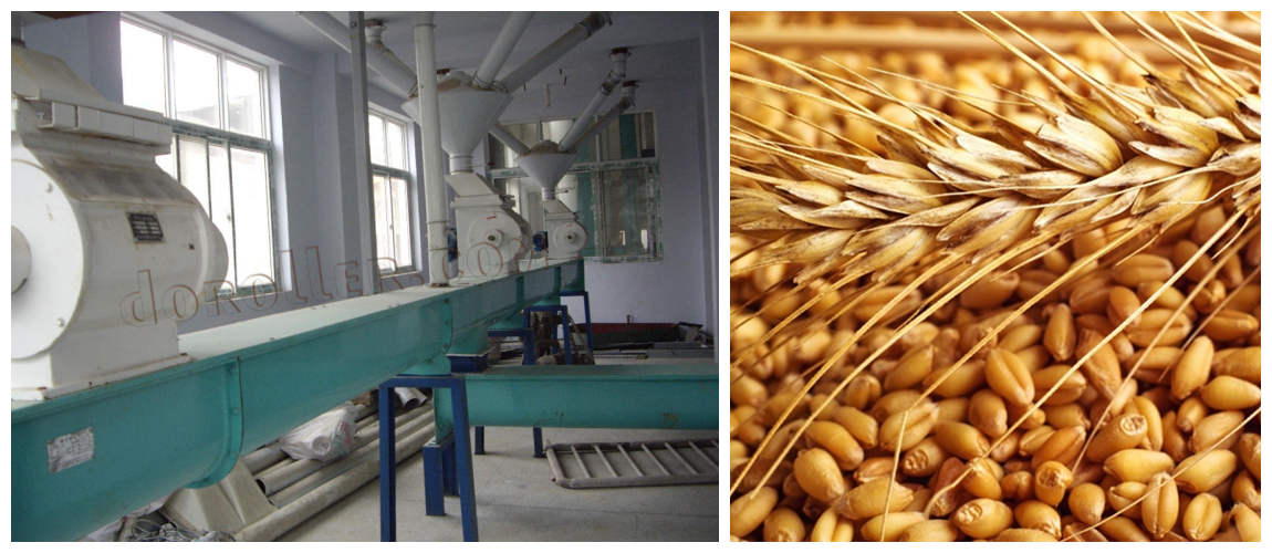 wheat matcher machine