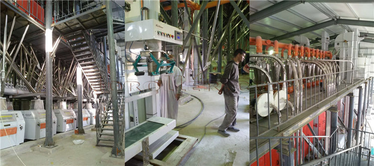 grain flour mill plant