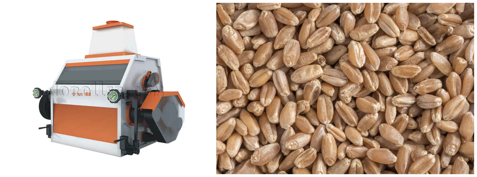 durum wheat milling