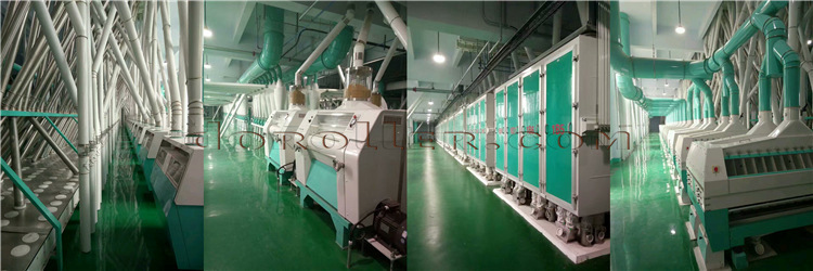 flour mill plant in Tanzania