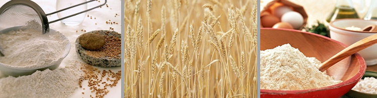 wheat flour